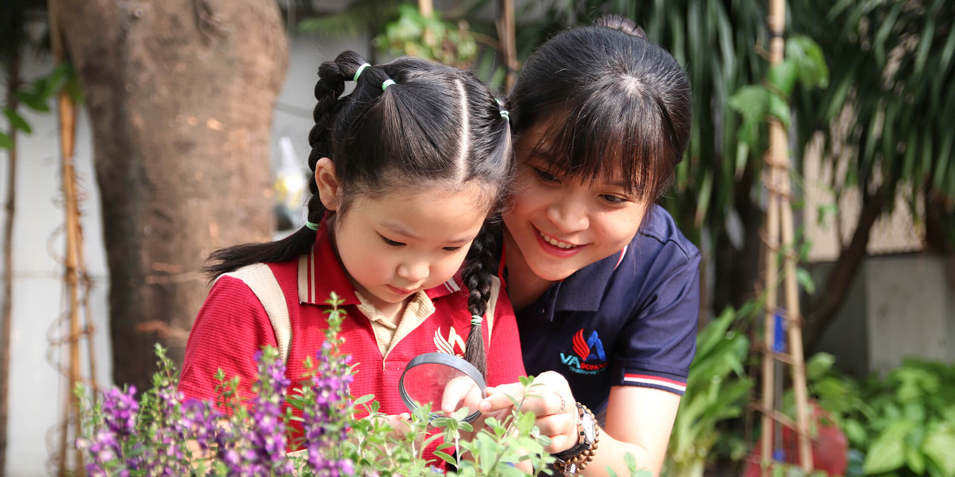 Banner TIểu học