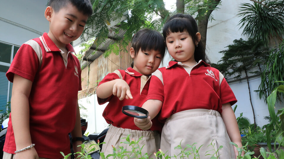 Dịch vụ nội trú